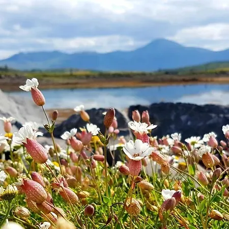 Seapoint House B&B 웨스트포트