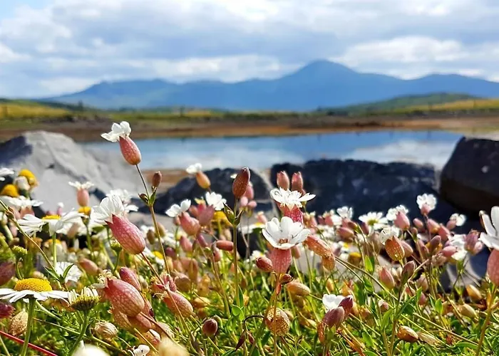 Seapoint House Frühstückspension Westport